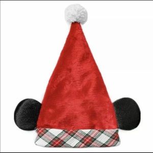 DISNEY PARK SANTA EARS